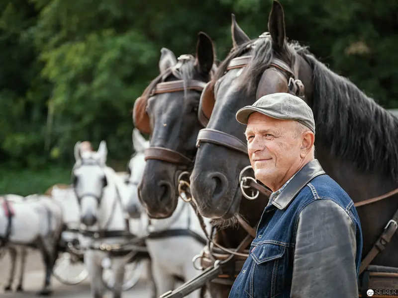 Veteran Horseman with Carriage Horses in Pastoral Landscape Setting