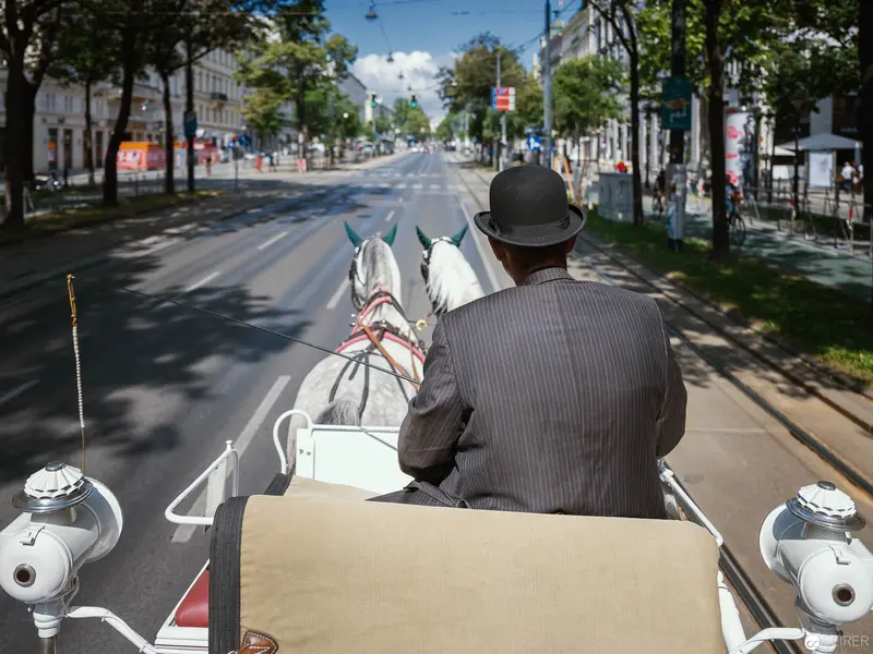 Viennese Horse-Drawn Carriage Traversing Urban Streetscape in Pinstripe Perspective