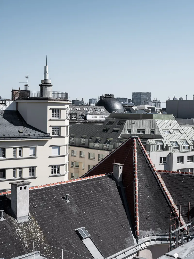 Urban Architectural Panorama: Vienna Roofscape with Historical and Modern Buildings