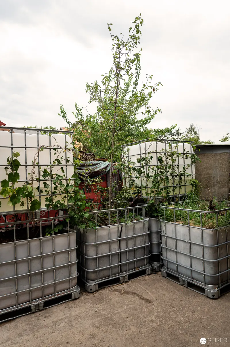 Urban Agricultural Setup with Intermediate Bulk Containers at Rothneusiedl Future Farm
