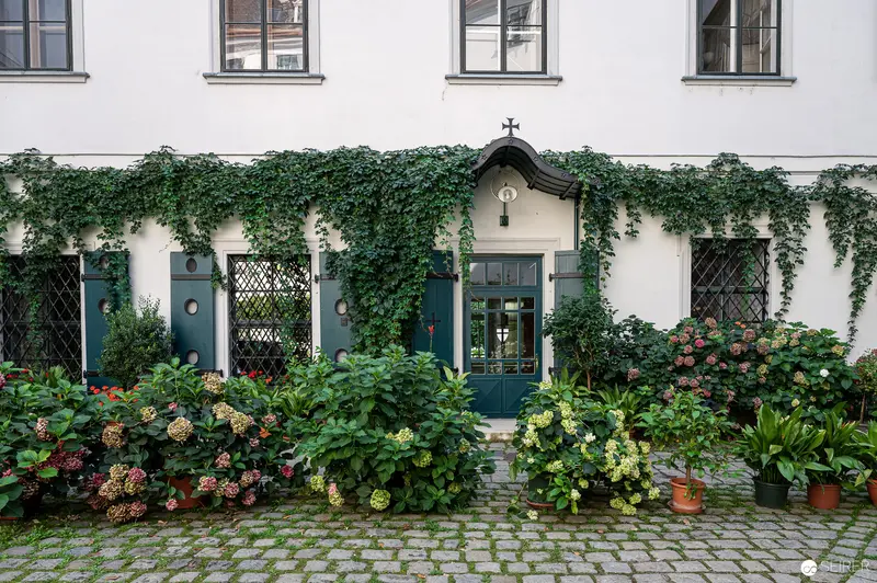 Verdant Vienna Facade: Ivy-Covered Entrance with Lush Hydrangea Garden