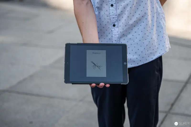 Tablet Displaying Detailed Scientific Illustration of Insect Specimen