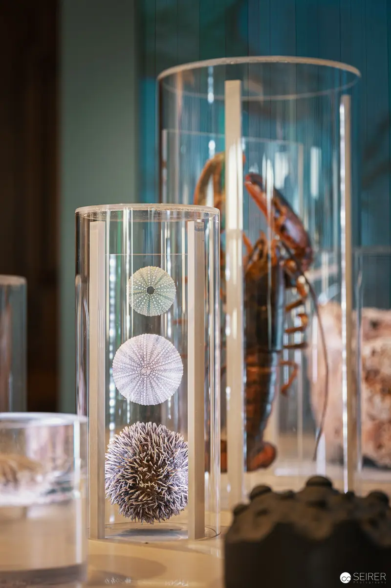 Natural History Museum Wien: Delicate Scientific Specimens in Cylindrical Glass Displays