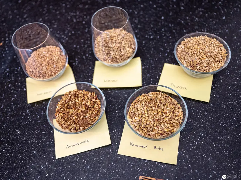 Comparative Display of Malted Grains for Brewing Techniques