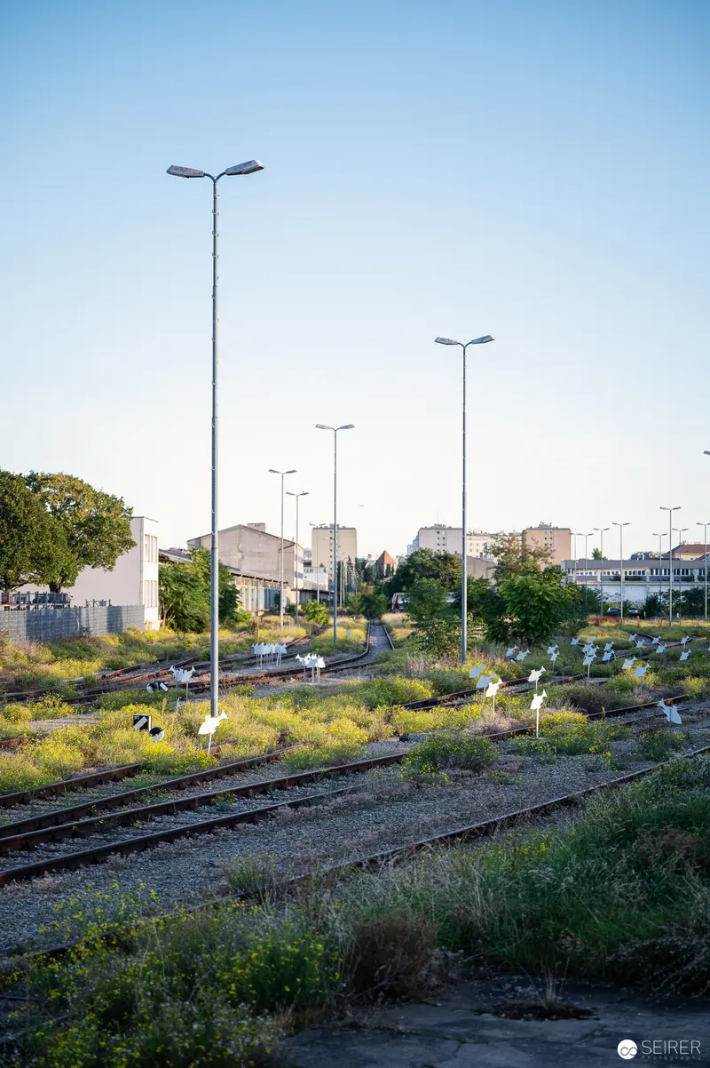 Abandoned Railway Tracks and Urban Streetlights in Overgrown Landscape
