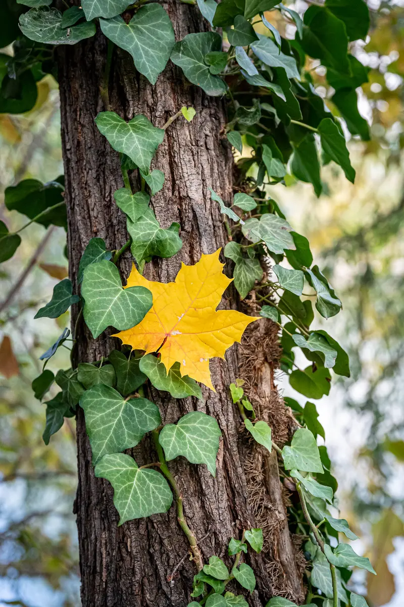 Fotowalk in Vienna's 3rd District, October 2021