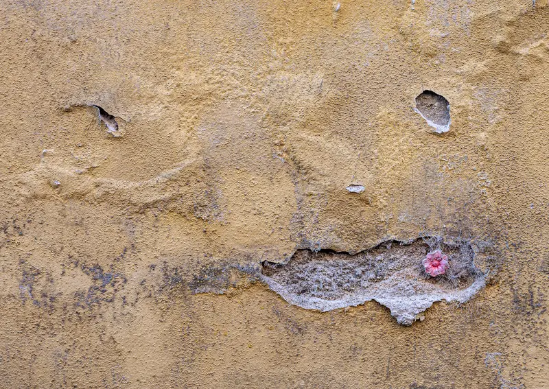 Weathered Wall Fragment with Unexpected Pink Intrusion