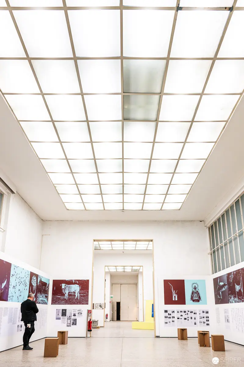 FOTO WIEN 2022 Exhibition View: Minimalist Gallery Space with Artistic Displays