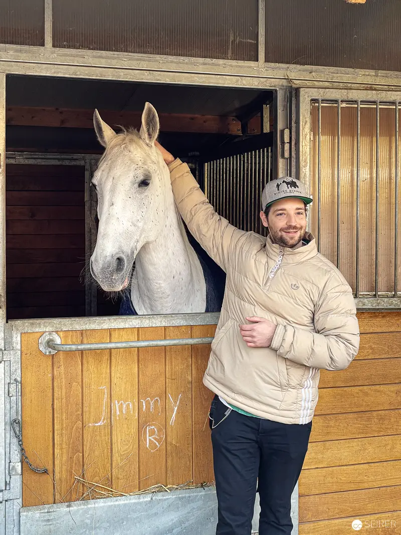 Fiaker Driver with White Horse in Stable at Vienna Riding Dinner