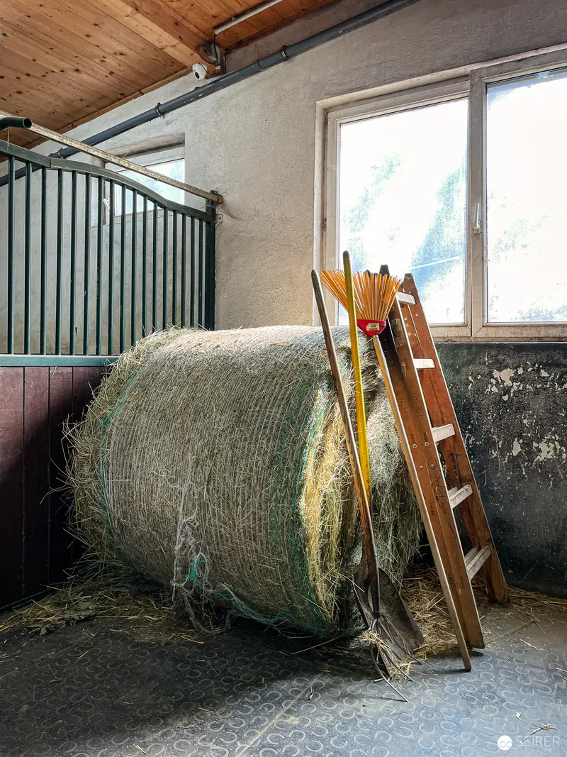 Hay Bale and Wooden Ladder in Rural Stable Interior