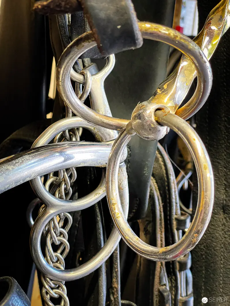 Intricately Intertwined Silver Horse Bridle Rings and Metal Chains