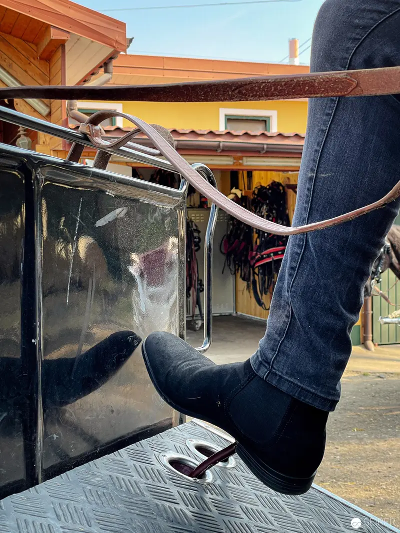 Vienna Fiaker Horse-Drawn Carriage Detail with Detailed Boot and Metalwork