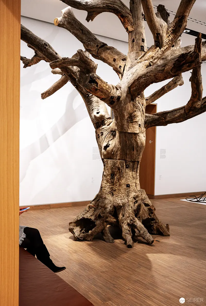 Driftwood Sculpture Installed at Ai Weiwei Exhibition, Albertina Modern Vienna