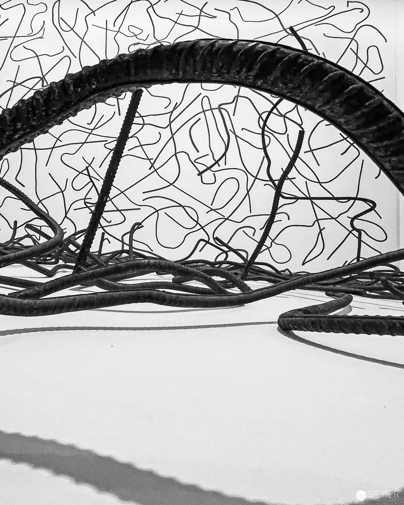 Tangled Bicycle Tire Abstraction in Black and White Geometric Composition
