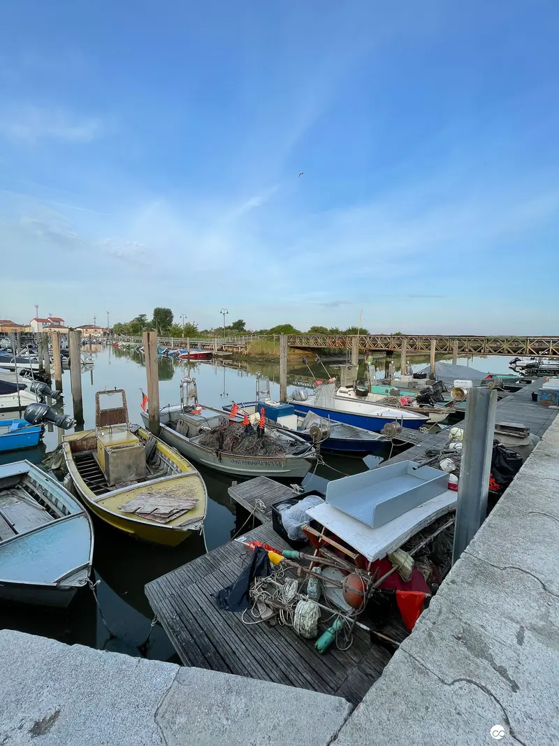 Maritime Infrastructure: Boats Moored at Tranquil Laguna Marina Harbor