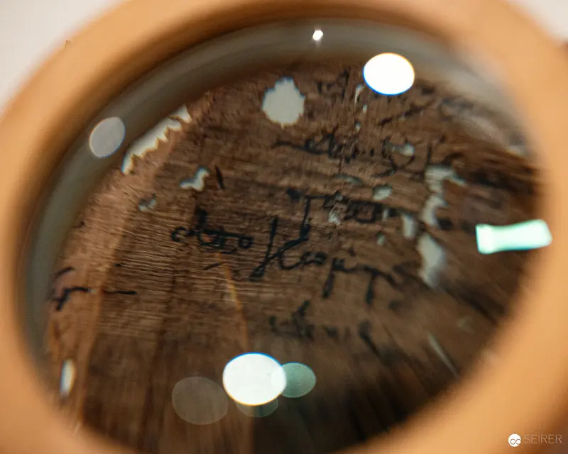 Microscopic View of Aged Wooden Surface with Textural Inscriptions
