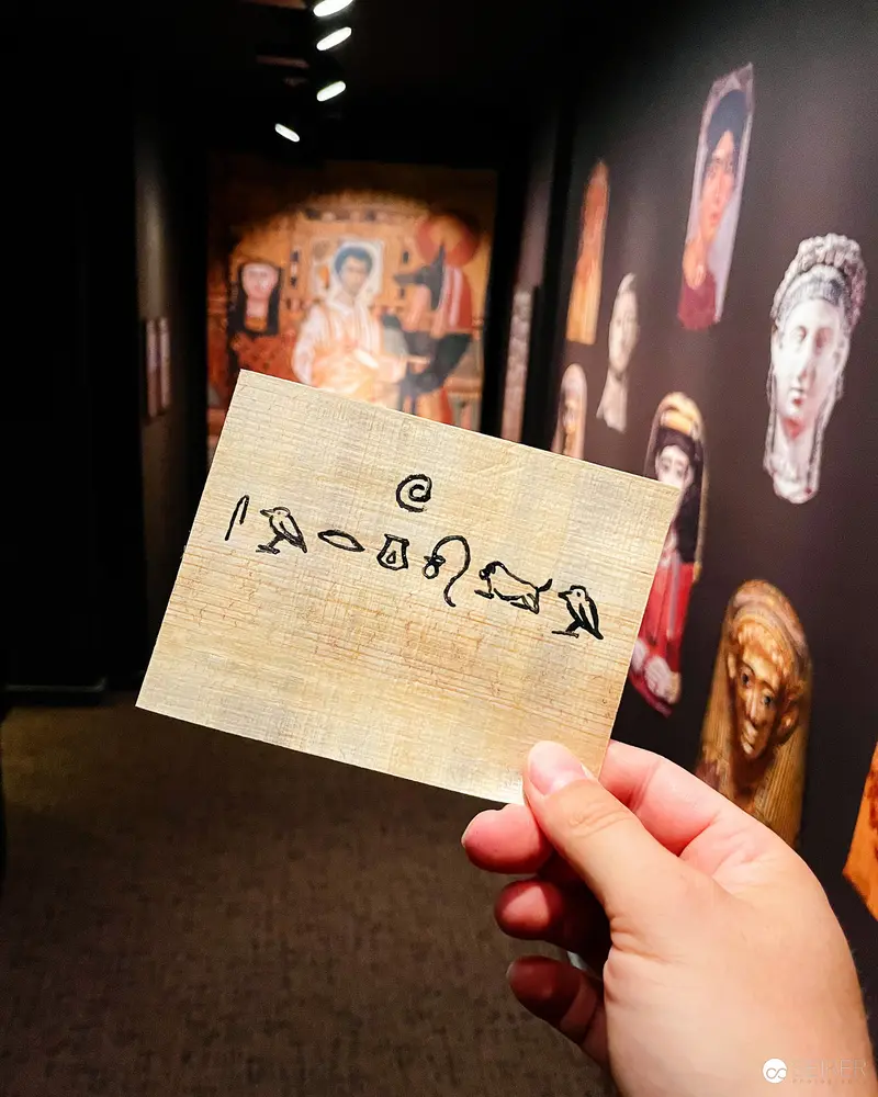 Ancient Egyptian Hieroglyphs on Papyrus at Vienna Museum Exhibition