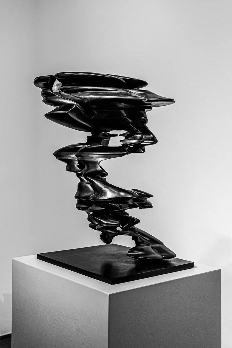 Tony Cragg Sculptural Form: Twisted Black Abstract Sculpture on Pedestal