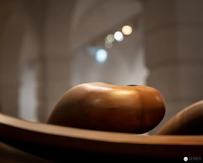 Tony Cragg Sculpture: Organic Bronze Form in Soft Illumination