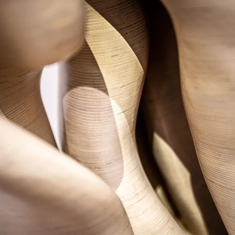 Abstracted Organic Forms in Sepia Tones