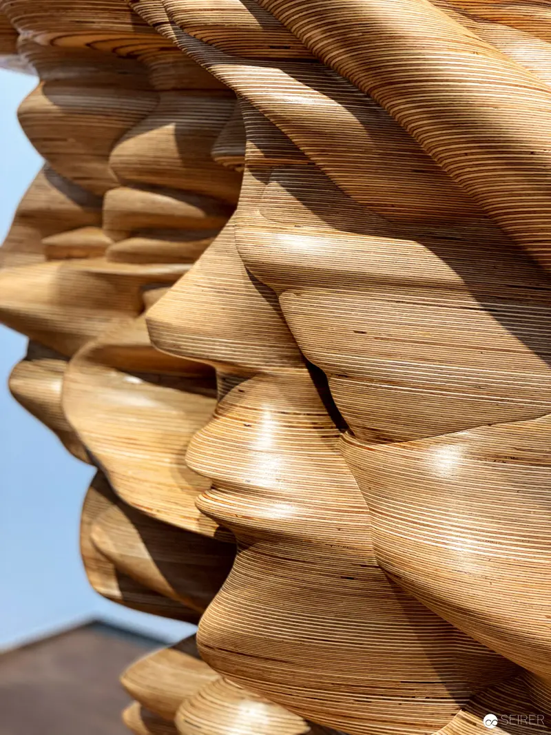 Tony Cragg Sculptural Wood Layers Abstracted Organic Form