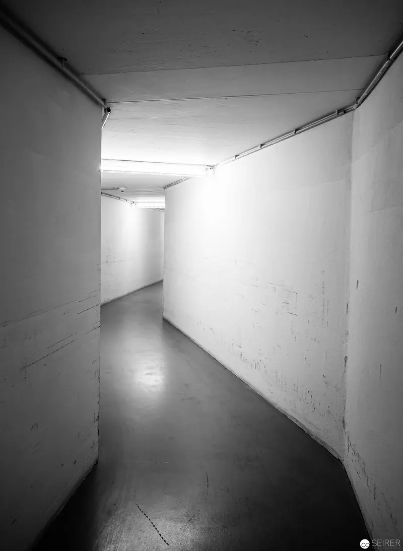 Architectural Monochrome: Curved Corridor in Minimalist Interior Space