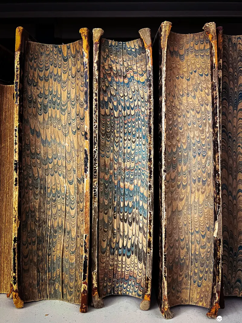 Marbled Endpapers of Antique Leather-Bound Volumes with Decorative Spine Edges