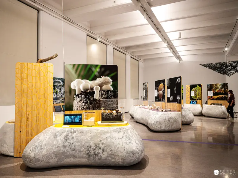 Bio-Inspiration Exhibition: Natural Forms and Technological Adaptation at Technisches Museum Wien