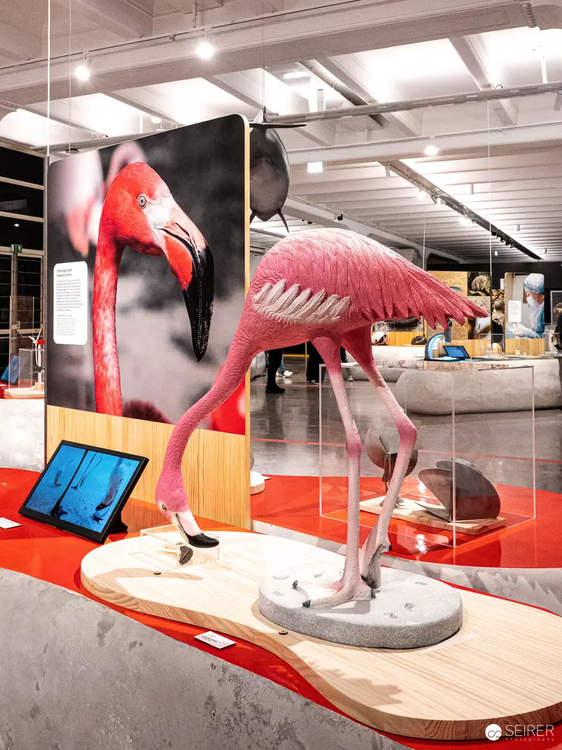 Bio-Inspired Design: Pink Flamingo Exhibit at Technisches Museum Wien