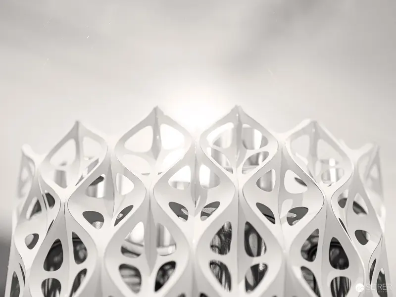 Parametric Architectural Prototype Exploring Organic Structural Geometries