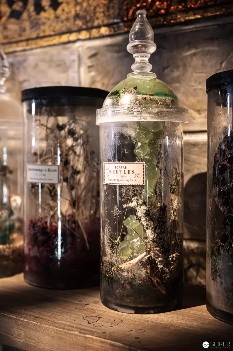 Vintage Scientific Glass Specimen Jars in Antique Natural History Collection
