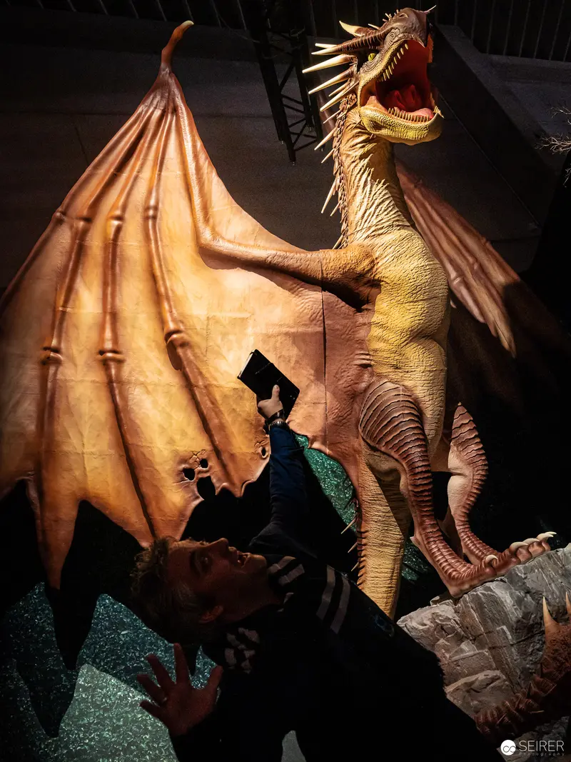 Dramatic Encounter with Dragon Statue at Harry Potter Exhibition, Vienna