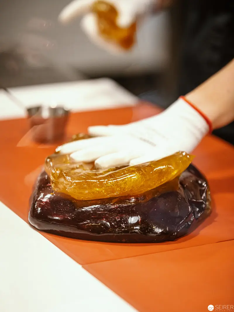 Traditional Sugar Craft at Zuckerlwerkstatt Wien: Molding Artisan Confectionery