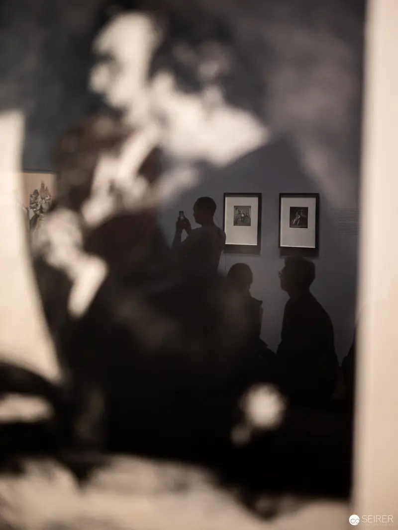 Silhouetted Viewers Contemplating Artworks at Dürer, Munch, Miro Exhibition, Albertina Vienna