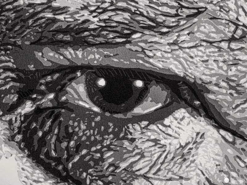 Hyper-Detailed Black and White Eye Macro Study in Textural Complexity