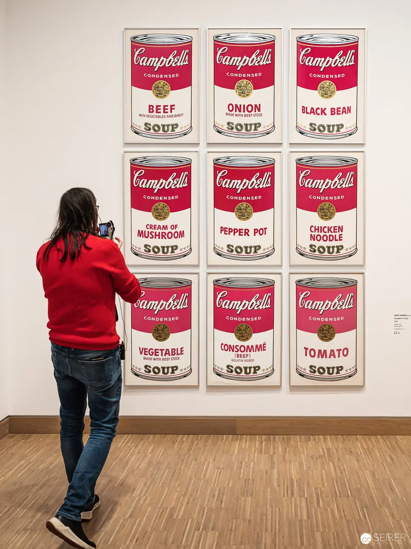 Visitor Contemplates Warhol's Campbell's Soup Cans at Albertina Modern, Vienna