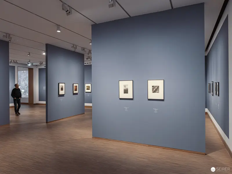 Piktorialismus Exhibition Installation View at Albertina Modern, Vienna