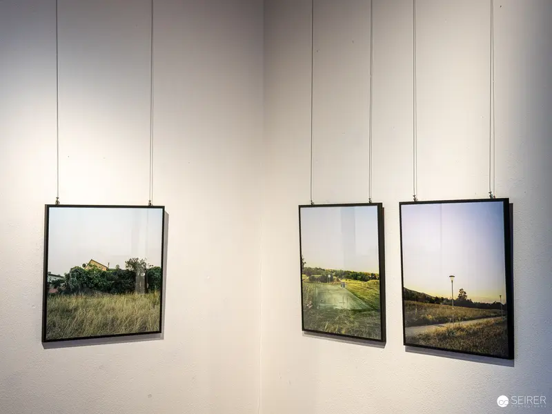 Landscape Triptych at Gallery Exhibition: Rural Scenes in Muted Tones