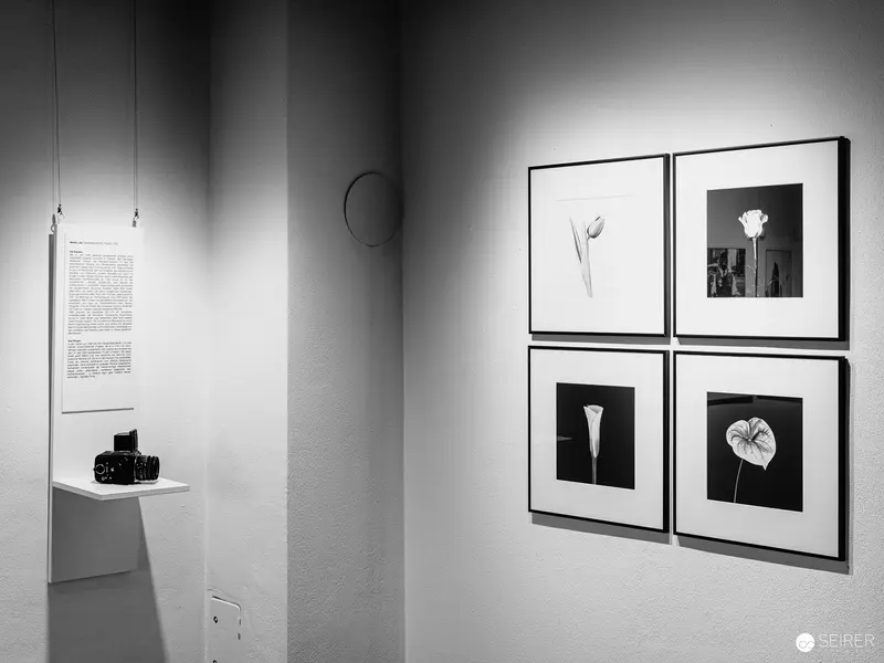Black and White Gallery View with Photographic Prints and Camera