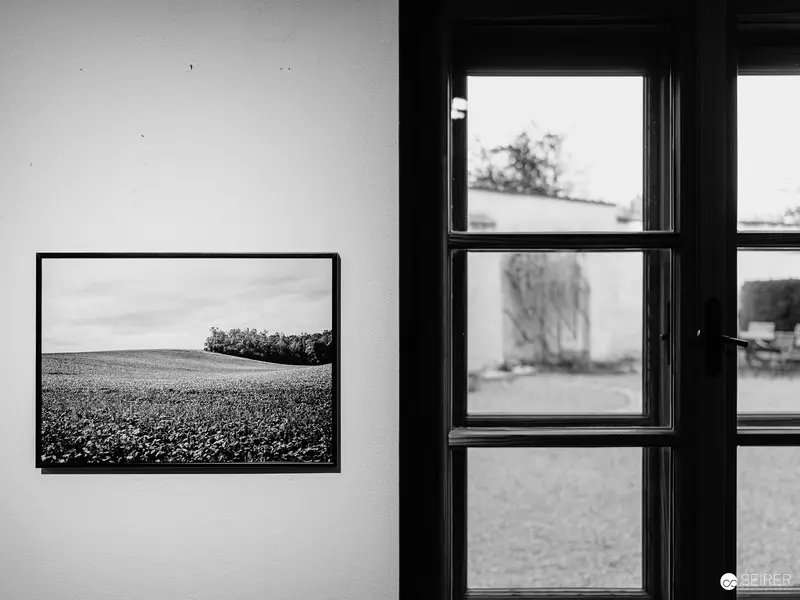 Framed Landscape: Interior View with Monochromatic Photographic Print