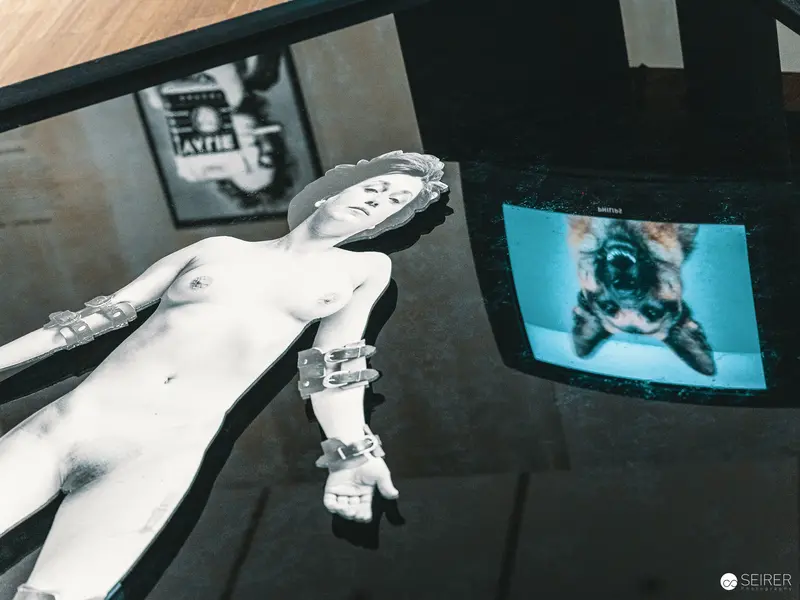 VALIE EXPORT's Deconstructed Body: Performance and Media Art Installation