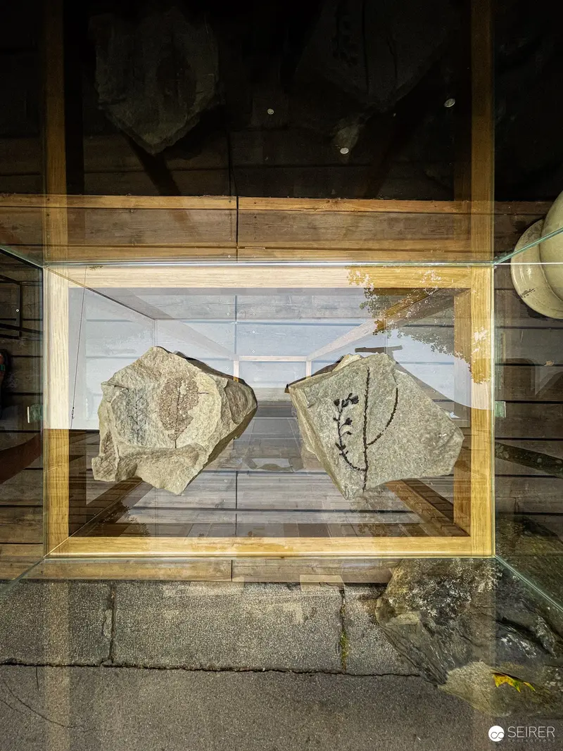Stone Fragments Displayed in Wooden Frame at KUNST HAUS WIEN Public Exhibition