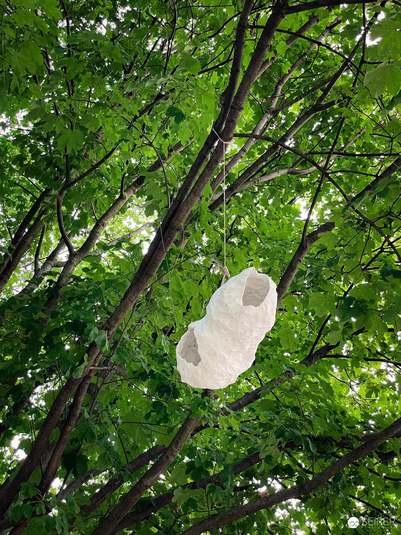 Suspended White Object Amid Dense Green Foliage