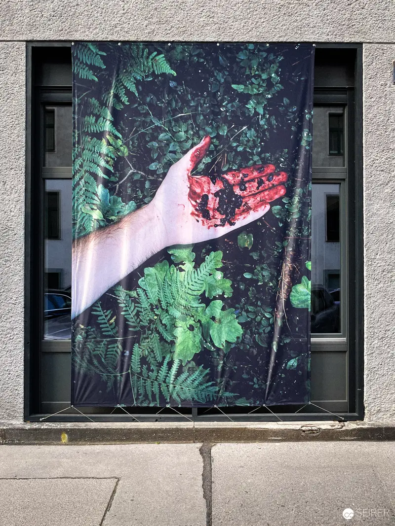 Pomegranate Fragment: Botanical Intervention in Urban Display Window