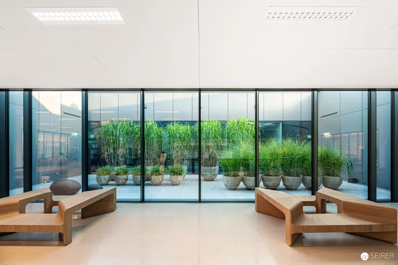 Minimalist Interior with Wooden Loungers and Glass Walls Framing Green Botanical Installation