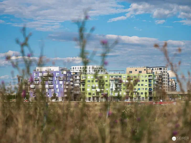 Urban Landscape with Colorful Apartment Buildings Amid Wildflower Meadow