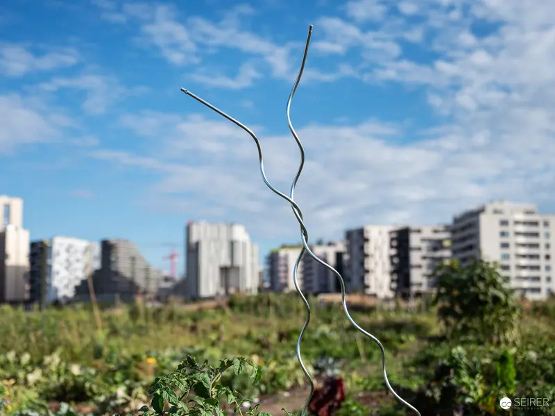 Twisted Metal Stake in Urban Agricultural Landscape with Apartment Blocks