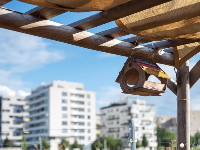 Urban Birdhouse on Wooden Pergola with Modernist Apartment Complex Background