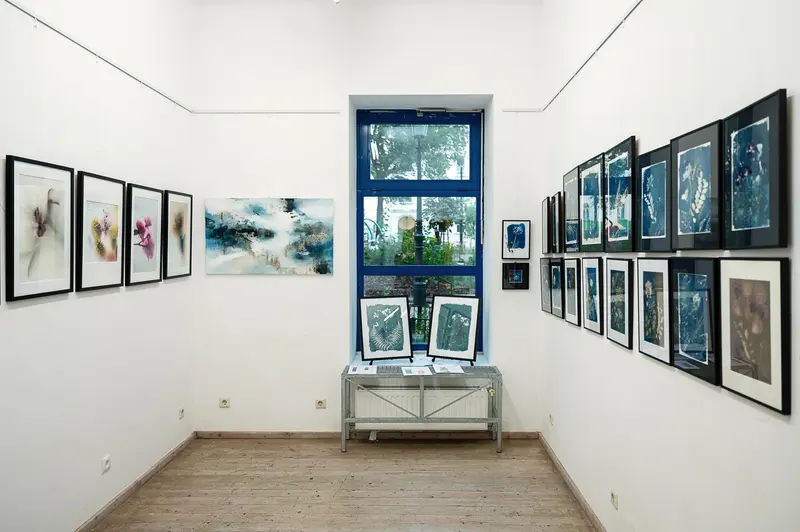 Contemporary Art Gallery Interior with Blue Window and Photographic Exhibition Displays
