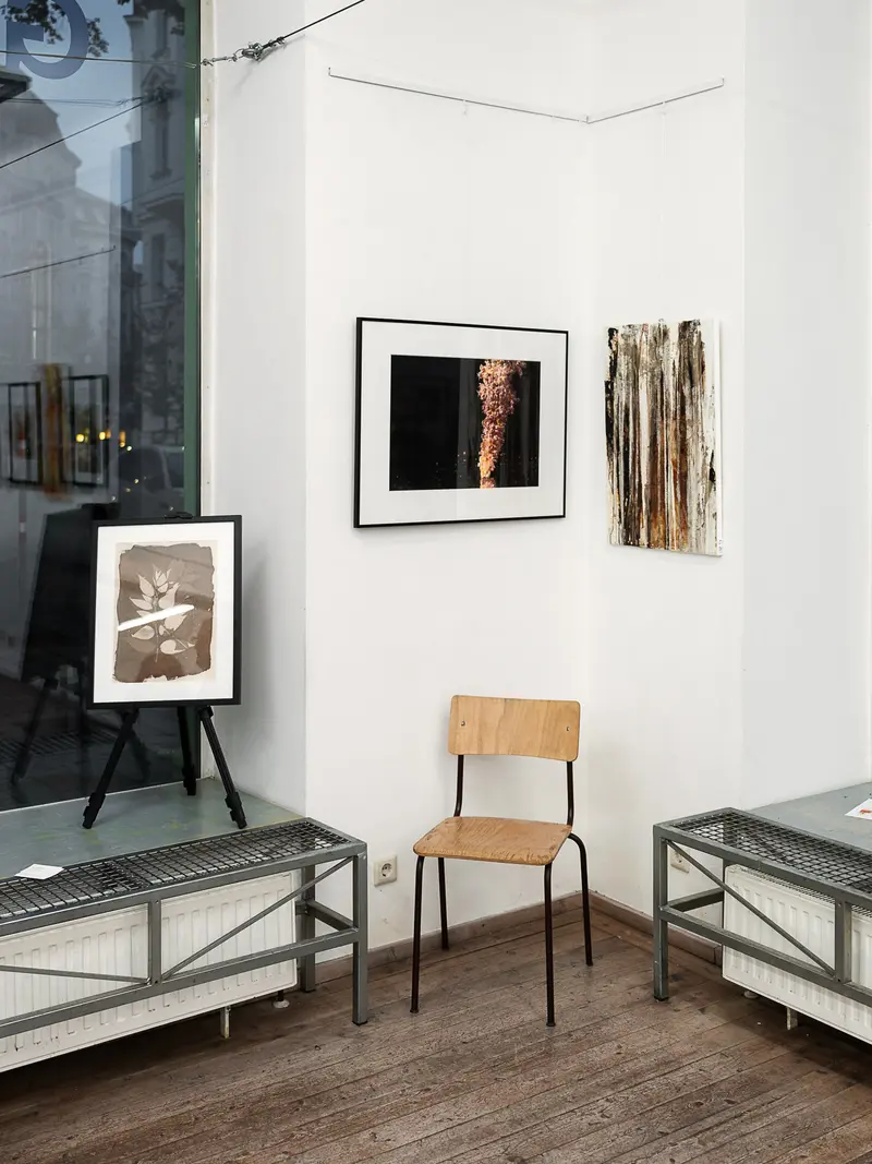 Gallery Interior with Framed Artworks and Minimalist Display Furniture